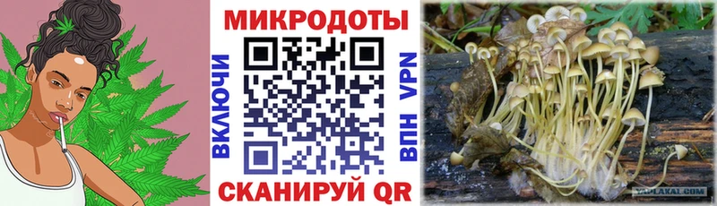 Галлюциногенные грибы MAGIC MUSHROOMS Купить Баксан